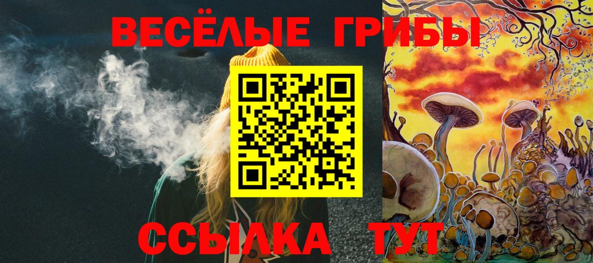 Псилоцибиновые грибы Cubensis  Вход с VPN  Серпухов 