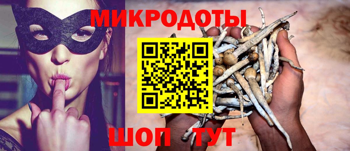 ГАШ Серпухов